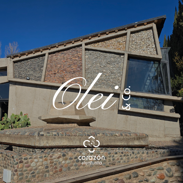 Olei & Co