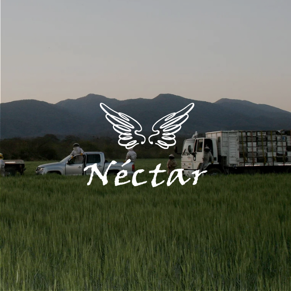 Néctar